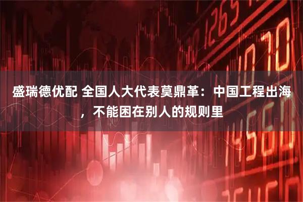 盛瑞德优配 全国人大代表莫鼎革：中国工程出海，不能困在别人的规则里