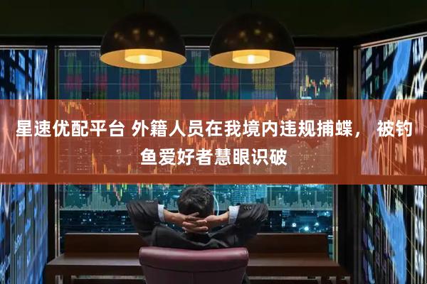 星速优配平台 外籍人员在我境内违规捕蝶， 被钓鱼爱好者慧眼识破
