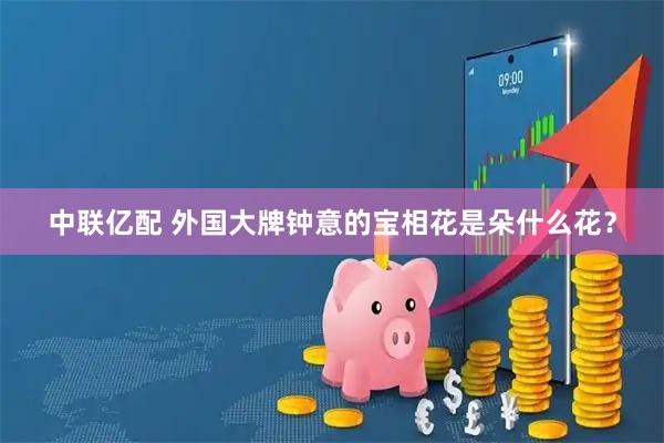 中联亿配 外国大牌钟意的宝相花是朵什么花？